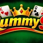 Rummy91 App